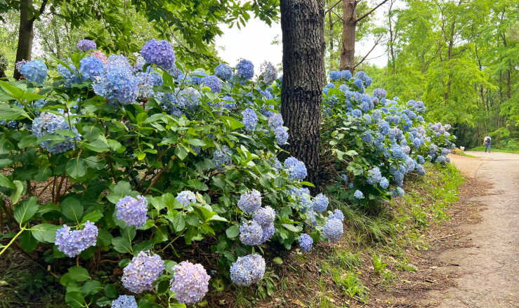 day trip from San Sebastián path
