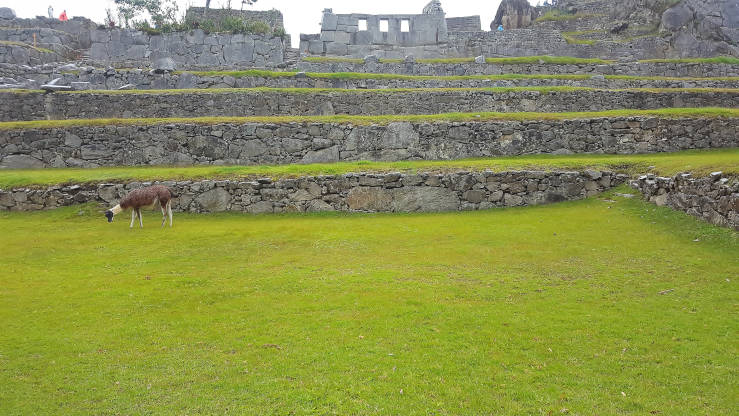 Things to see in Peru Machu Picchu