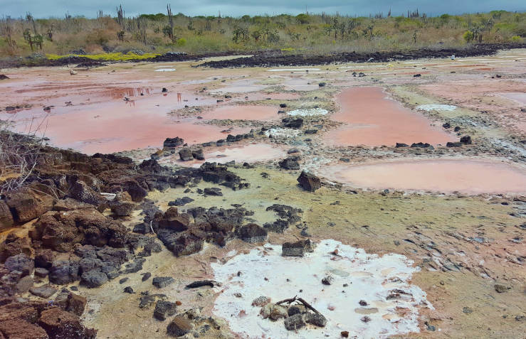 Academy bay day tour Salty lagoon Las Salinas