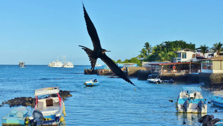 Puerto Ayora Itinerary 6 days Galapagos