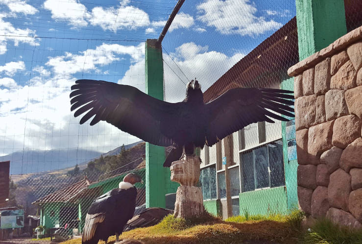 Sacred Valley Peru, Maras, Moray and Inca Ruins in Pisac
