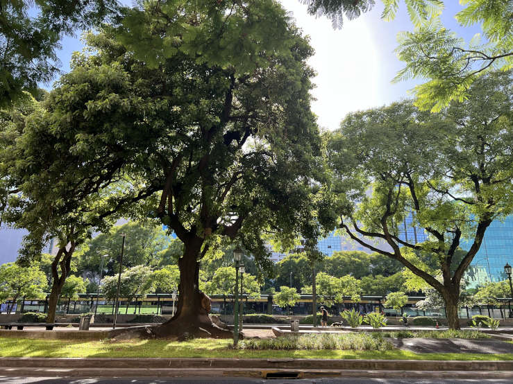 Follow the tree-lined Avenida 9 de Julio towards Palermo.