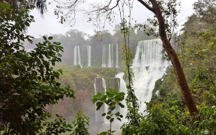 Lush subtropical rainforest with fine spray from the waterfalls