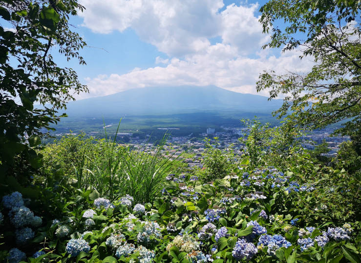 Scenic view of Mount Fuji with a serene landscape, symbolizing the strength, endurance, and spiritual traditions that resonate with the essence of sumo wrestling