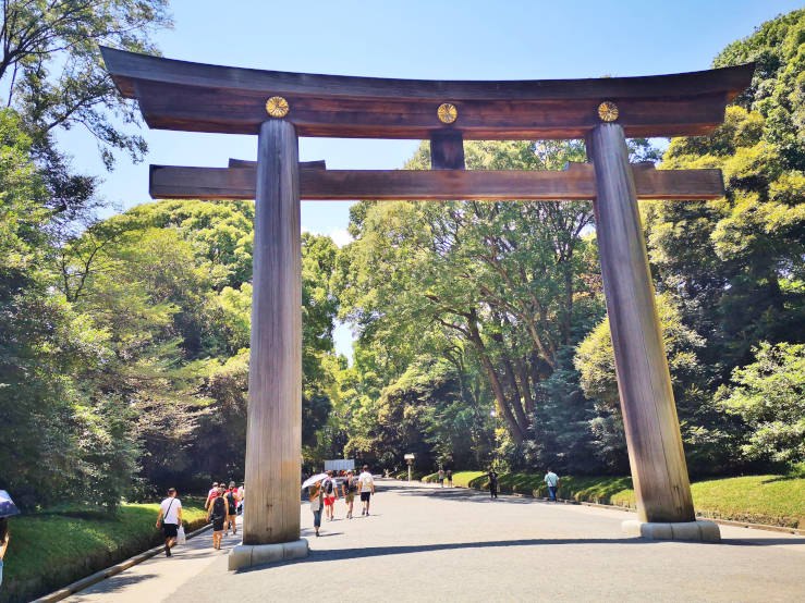 People walking under a tall wooden torii gate amid trees at Meiji Jingu Tokyo