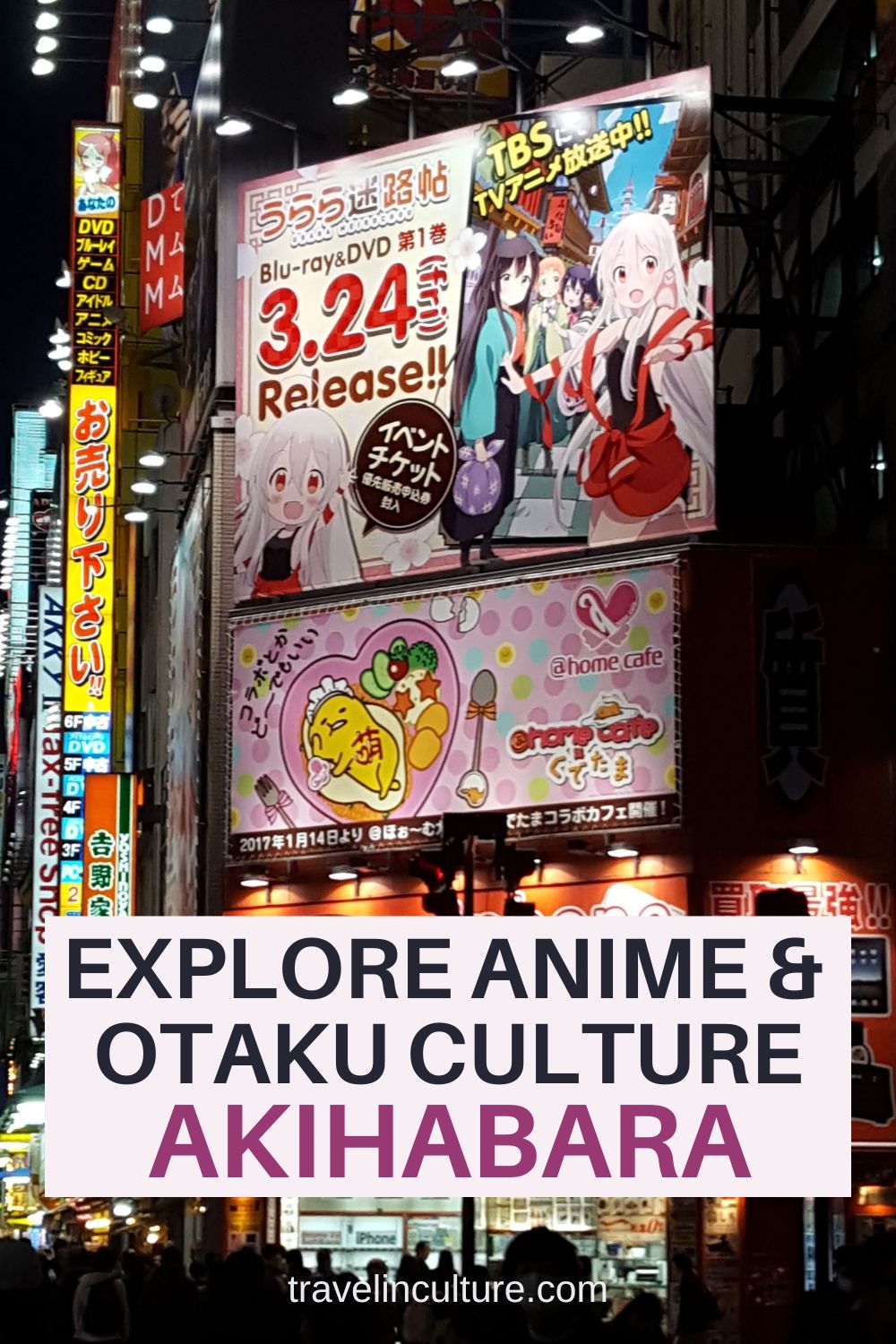 Anime culture and otaku culture in Akihabara Tokyo