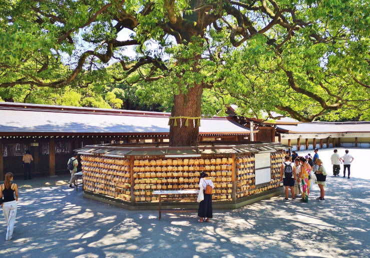 Ema wooden prayer plaques hanging around a tree in the courtyard at Meiji Jingu shrine in Tokyo