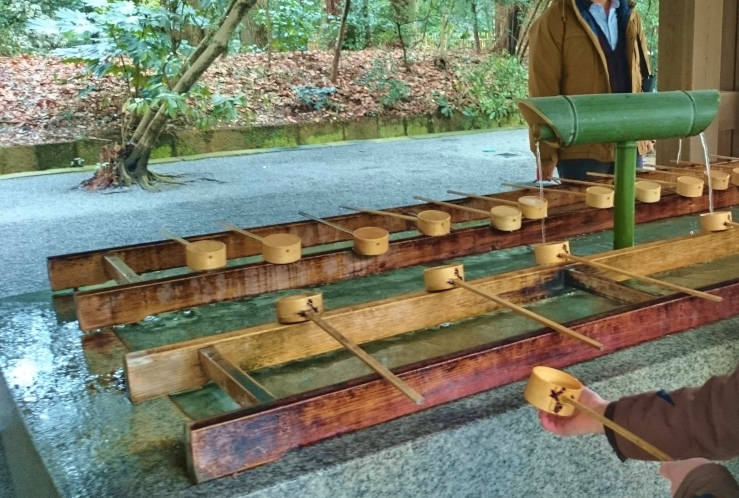 Visitor performing purification ritual with ladle at Meiji Jingu temizuya water pavilion in Tokyo