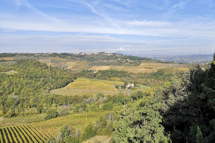 Rolling Chianti countryside with vineyards, olive groves, and a hilltop village