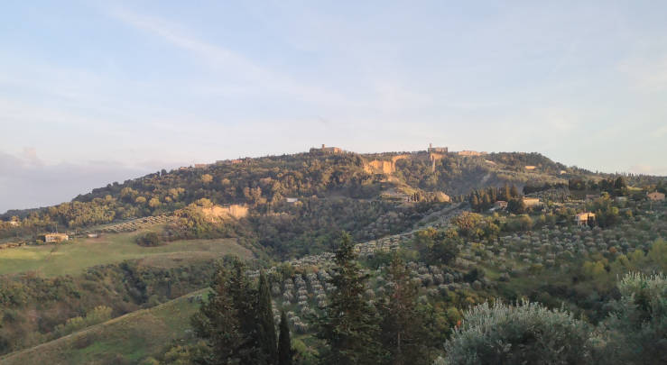 Tuscan countryside with a hilltop village and olive groves